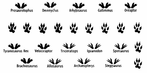 Dinosaur Footprint Silhouettes On White Background Paleontology Illustration © Hemlata