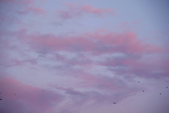 pastel winter sky with pink and purple clouds