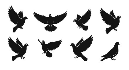 Fototapeta premium Silhouettes of pigeons in flight and standing, showcasing various poses and wing positions.