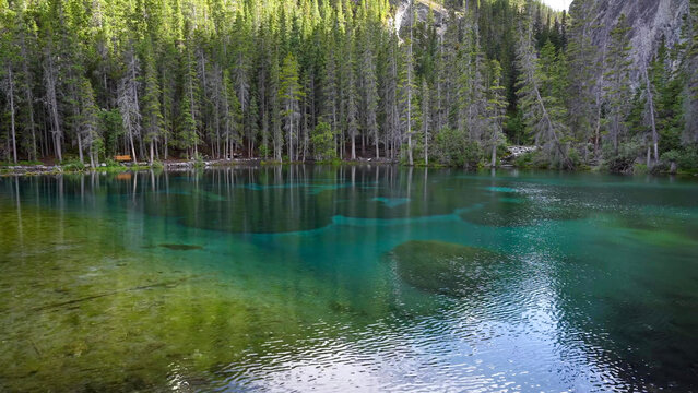 Grassi Lakes, Canmore - Crystal Clear Turquoise Alpine Lake Surrounded by Evergreen Forest in the Canadian Rockies