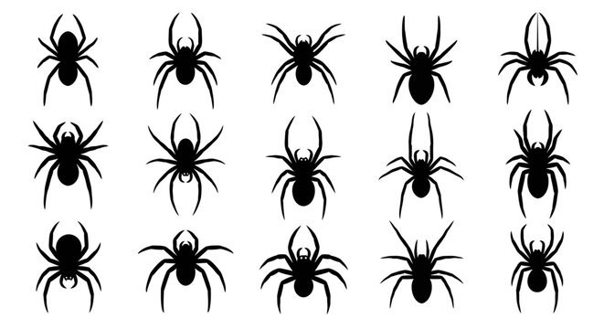 An illustration of various spiders in different poses on a plain surface
