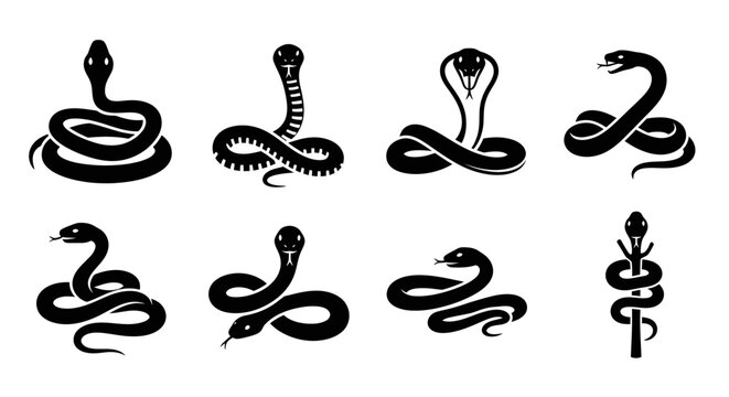 Several snakes are coiled and slithering in different poses.