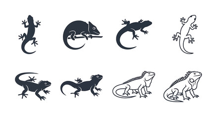 Fototapeta premium Eight lizard silhouettes in various poses on a white background