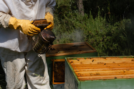 Beekeeper hands operating bee smoker beside beehive boxes