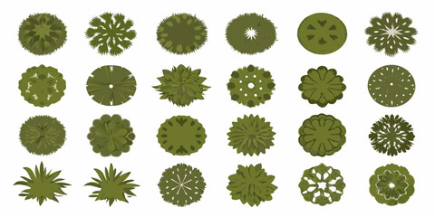 Collection Of Top Down View Trees Vector Illustration © BidhanChandra
