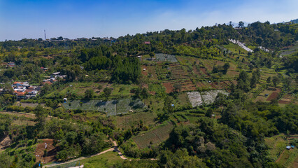 Fototapeta premium Agricultural Hillside Landscape in Bandung, Indonesia