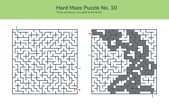 Hard maze puzzle worksheet with three entrances single finish route arrows plus solved grid version for educational brain teaser practice classroom logic game printable vector activity challenge