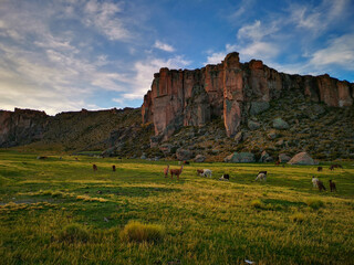 Majestic South American landscape featuring serene llamas grazing in a lush green valley, framed by dramatic rock formations under a vibrant, expansive sky, evoking tranquil natural beauty © Martin
