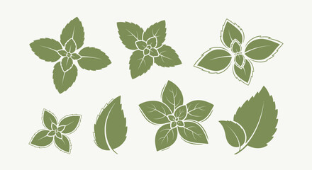 Collection of green mint leaves vector icons and illustrations © galendra