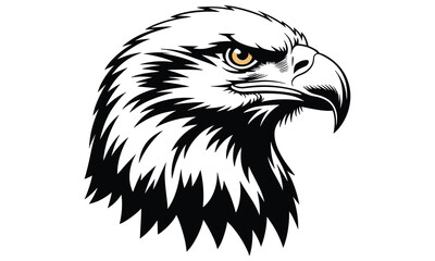 Fototapeta premium Fierce bald eagle head illustration featuring bold black and white lines with a sharp golden eye against a white background