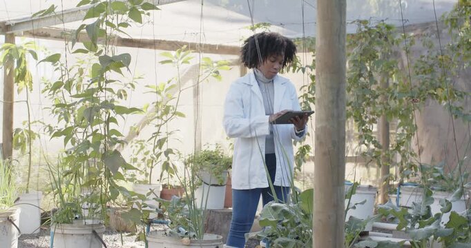 Scientist is leaning in, examining leaf, logging data on tablet and checking tanks in greenhouse