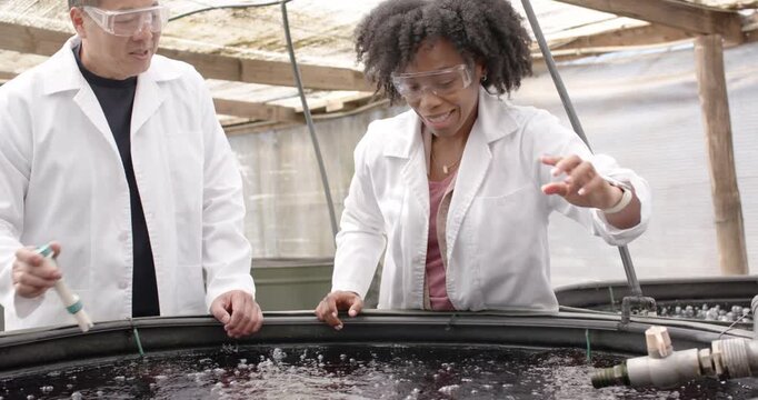Team observing tank, African female adjusting valve with probe in greenhouse, increasing aeration