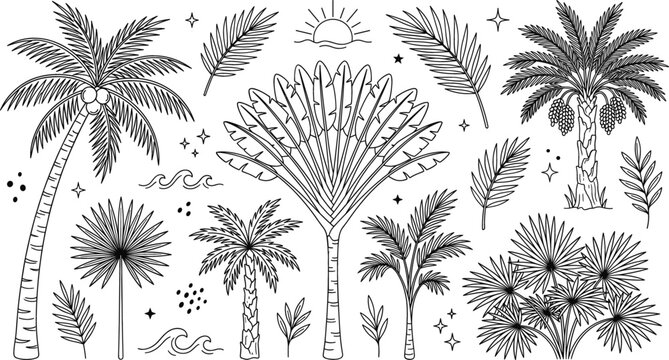 Tropical palm tree vector collection with linear icons of exotic leaves plants waves and summer sun isolated elements