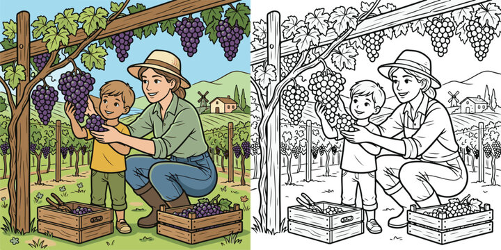  Vineyard Worker Teaching Child Grape Harvesting in Vineyard Educational Vector  cartoon print illustration vector clipart and line art colouring book for kids.	