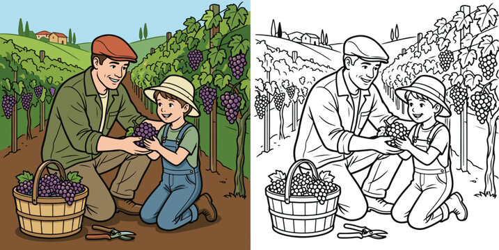 Farmer Teaching Child How to Pick Grapes in Vineyard Colorful Agriculture  cartoon print illustration vector clipart and line art colouring book for kids.	