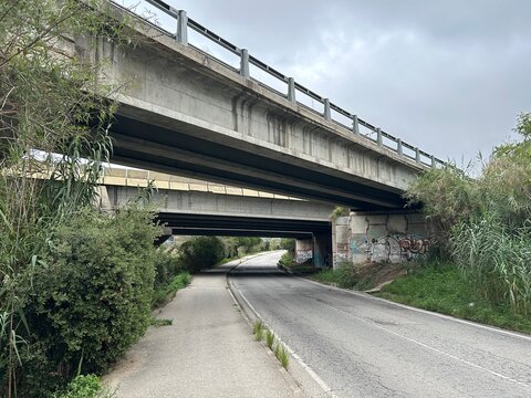 Paso elevado de hormig&oacute;n sobre una carretera asfaltada con arbustos a los lados
