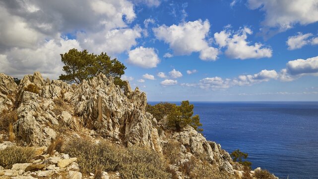 Steep rock formations with trees in front of the blue sea and a cloudy sky, near Kato Lakkos Beach, Kato Lakkos, East Coast, Karpathos, Dodecanese, Greek Islands, Greece
