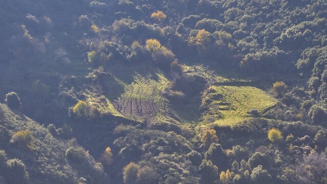 Sunlit hills with scattered autumn trees and long shadows, Erymanthos Mountains, northwest of the Peloponnese peninsula, Peloponnese, Greece