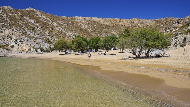 Quiet beach with clear water and golden sand, surrounded by trees and rocks under a deep blue sky, tamarisk trees, Psili Ammos beach, Patmos, Dodecanese, Greek Islands, Greece