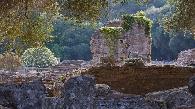 Buleuterion, Ancient ruins with overgrowing plants in front of a forest view, Archaeological Site, Ancient Olympia, Olympia, Peloponnese, Greece