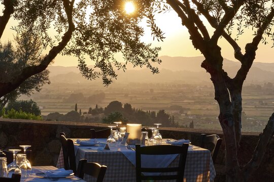 A set table under trees with a view of a vast landscape at sunset, Hotel Europa, garden restaurant and view of the surrounding landscape, Olympia, Peloponnese, Greece