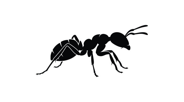 Black ant silhouette against a white background detailed vector illustration