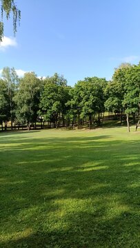 Golf course in the morning. Green lawn in city park with trees under blue sky. Eco background with copy space for sustainability or environment concept.