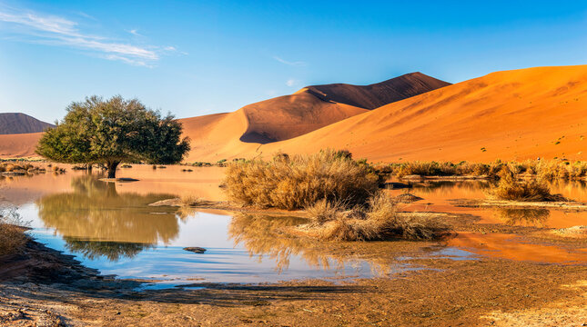 Sossusvlei