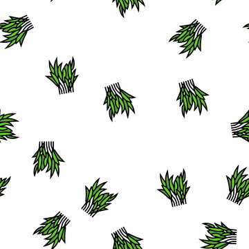 java fern vector seamless pattern java fern sign illustration