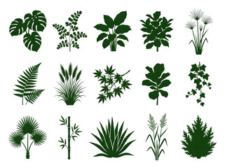 Naklejka premium Set of various houseplant and tropical leaf silhouettes isolated on transparent background