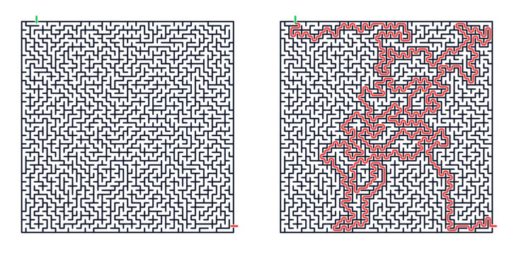 Complex 50x50 maze design with intricate pathways, featuring a solved path highlighted in red, showcasing black and white contrast, side by side squares