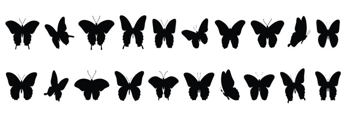 Collection of black butterfly silhouettes on white background  various poses and shapes © Siddhartha