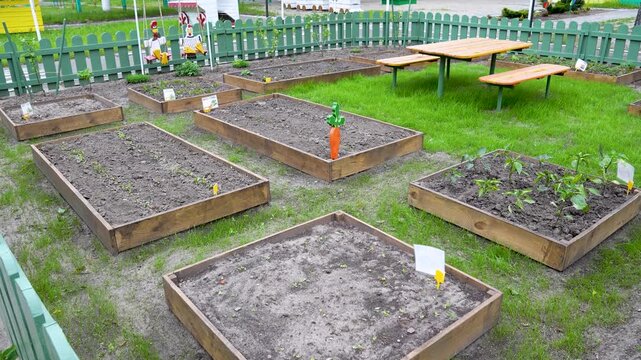 Several neat wooden raised garden beds with young green sprouts and vegetable markers stand on a grassy patch inside a fenced educational playground area.