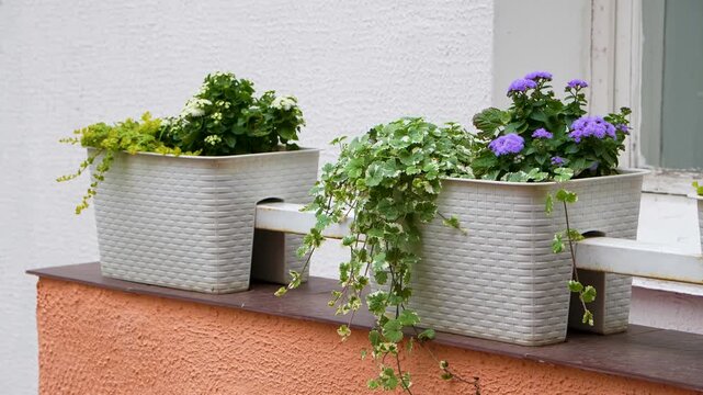 Two beige plastic balcony planters filled with blooming purple and white flowers along with trailing green ivy sit securely on an outdoor patio railing.