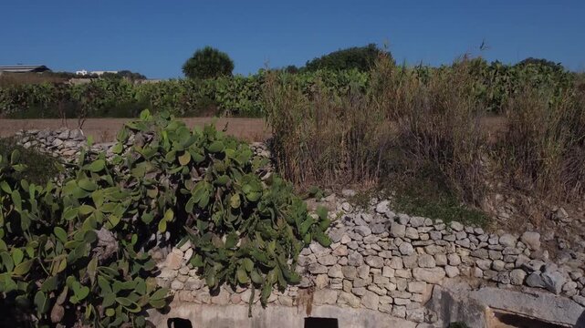 Naxar, Malta 01.07.2026 - Salini Catacombs aerial view of the field. This group of burials is situated in an area known as Ta Latnija. High quality 4k footage