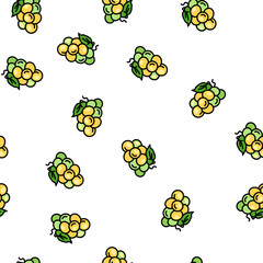 Obraz premium green grape wine vector seamless pattern green grape wine sign illustration
