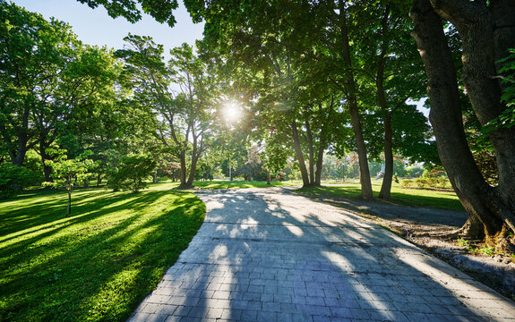 Pathway through Washington Park, Albany, New York 