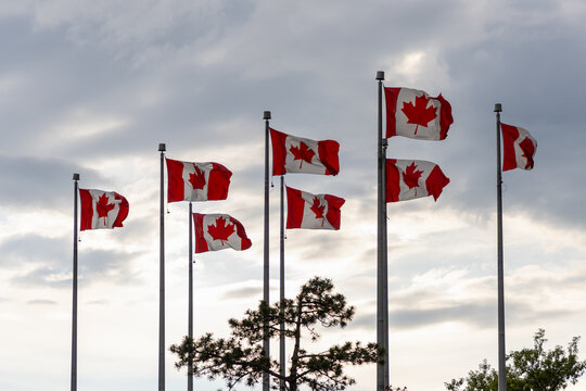 Canadian flags waving on flagpoles against overcast sky in Ottawa, Canada