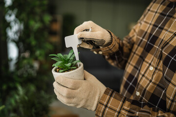 Naklejka premium Gardener inserting blank plant marker into succulent pot