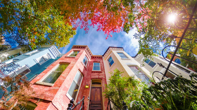 Historic brick townhouses in Washington D.C. framed by red and green fall foliage.