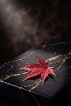 Vibrant red Japanese maple leaf resting on a luxury black marble surface with gold veins