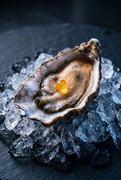 Fresh Gourmet Oyster with Golden Pearl on Crushed Ice
