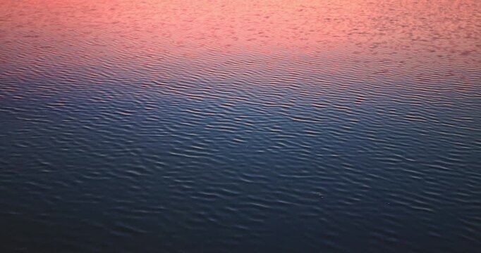 Sunset water surface reflection with pink and deep blue ripples