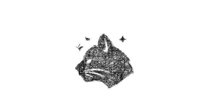 Sketch cat form icon animation - smooth progressive reveal