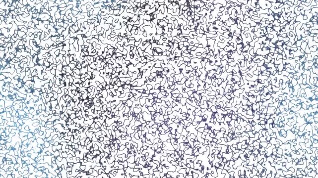 White blue abstract topographic pattern background liquid fluid motion 4k animation loop video.