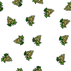 Obraz premium green grapes bunch vector seamless pattern green grapes bunch sign illustration