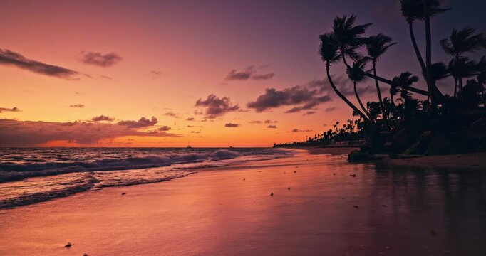 Caribbean Sunrise Landscape of Sea shore and exotic island beach with palm trees and rocks