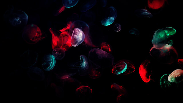 Abstract Colorful Red and Green Smoke Background with Flowing Plasma Cells Microscopic Biology Science Medical Illustration Dynamic Nano Life Design Wallpaper