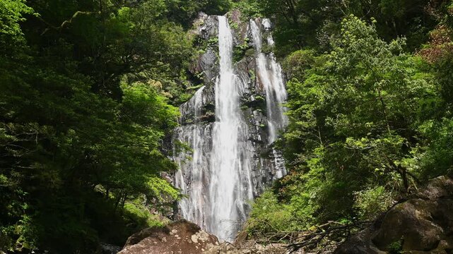 矢研の滝（尾鈴山瀑布群）