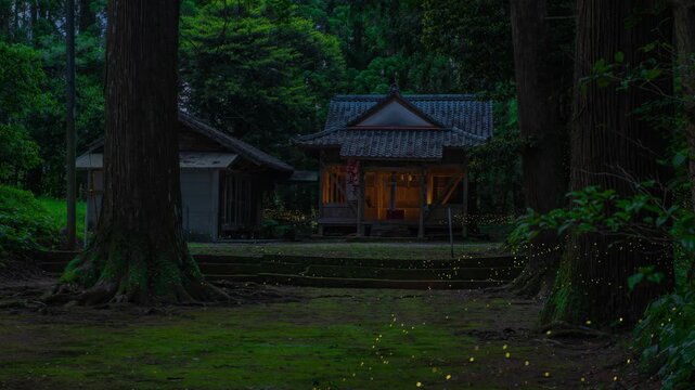 神社の拝殿とヒメボタル